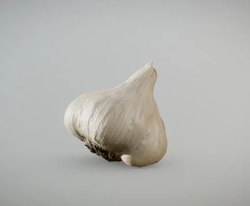 Vampire Garlic (PBR)
