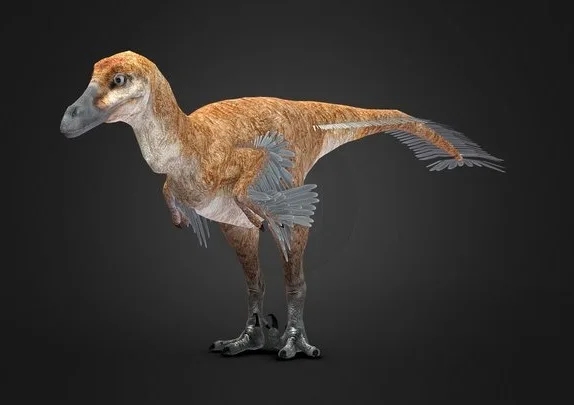 Velociraptor Mongoliensis Rigged (PBR)