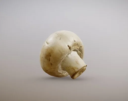 White Button Mushroom (PBR)