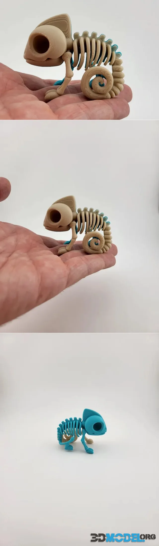 Skeleton Chameleon Figurine for Desk Shelf Decor – Printable