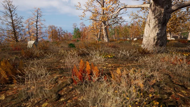 225 Square Km Procedural Forest