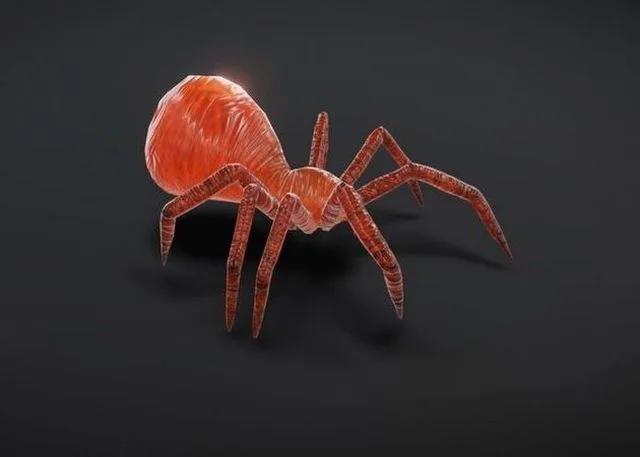 23 complete animated spiders Low-poly (PBR)