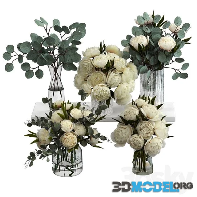 Bouquets of Eucalyptus and Peonies