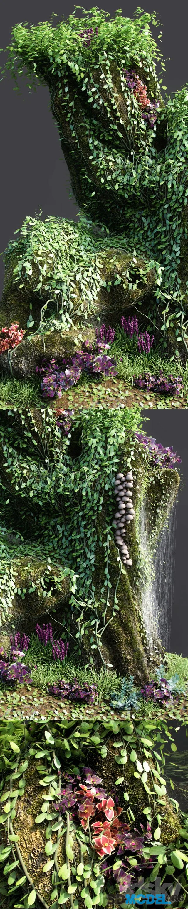 Dwarf Florarium