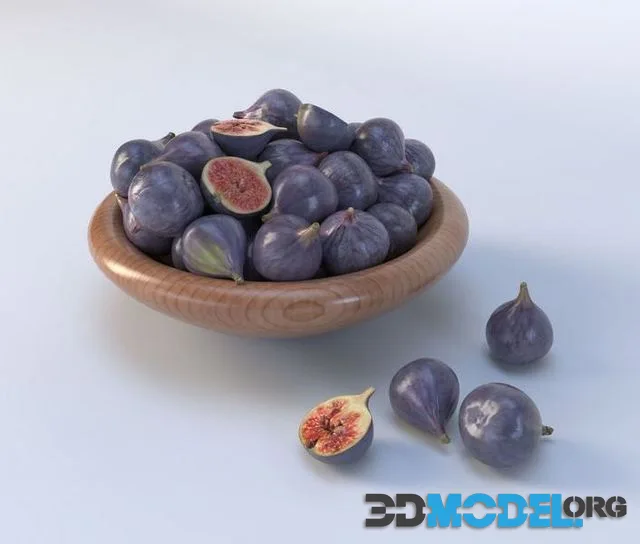 Ficus carica Low-poly (PBR)