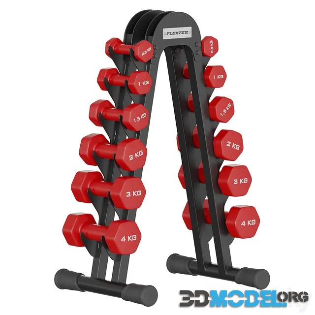 Fitness dumbbell rack for 6 pairs FLEXTER