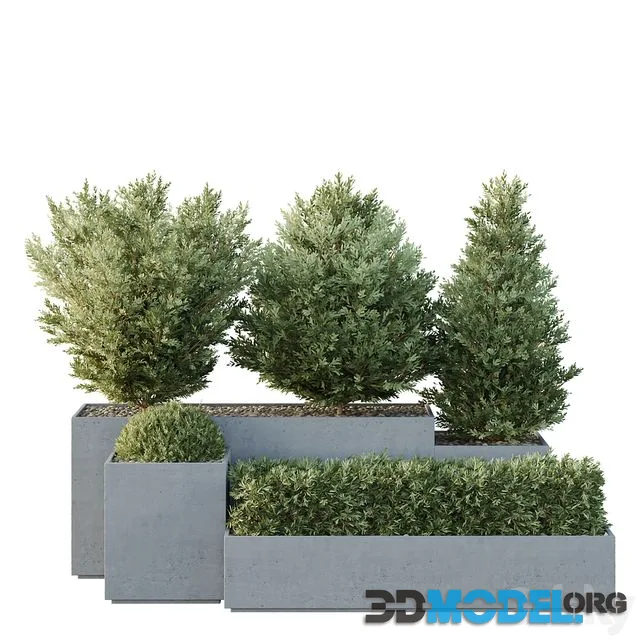 HQ Tree and bush garden box outdoor VOL 27