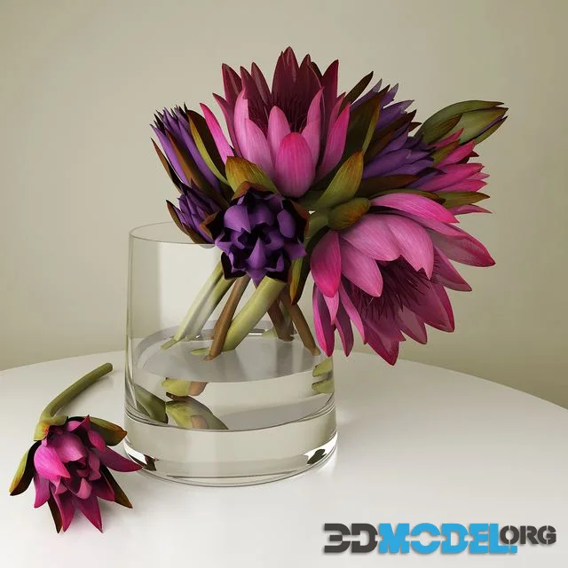 Lotos Flower