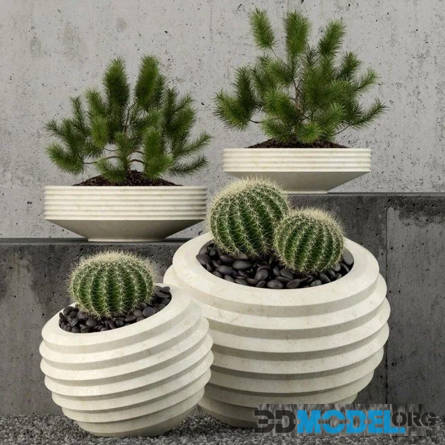 Plants collection 58