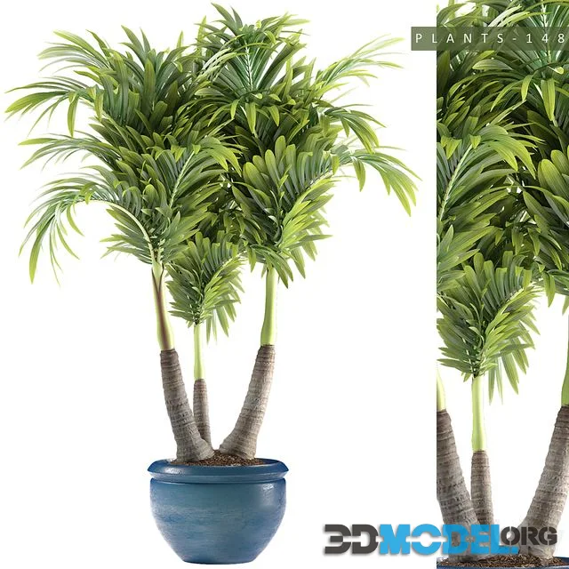 PLANTS 148