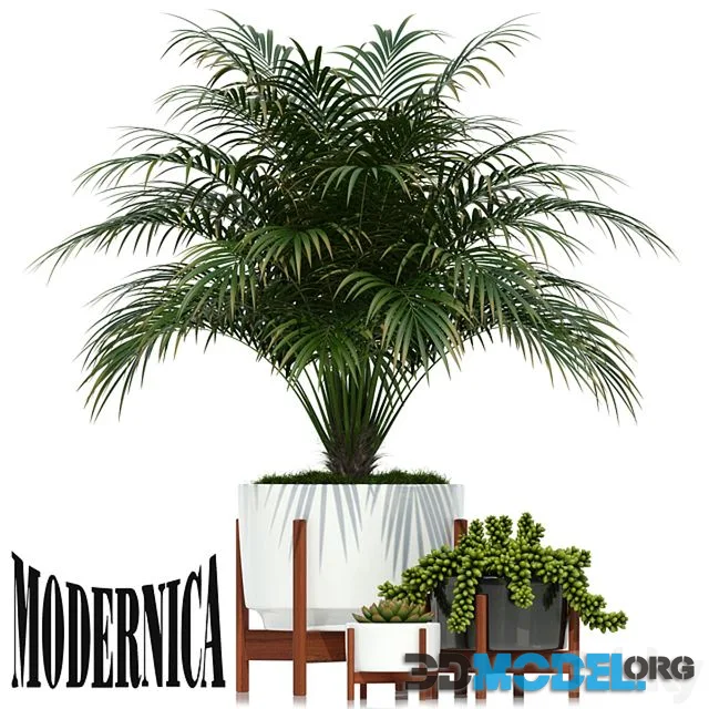 Plants collection 68 Modernica pots