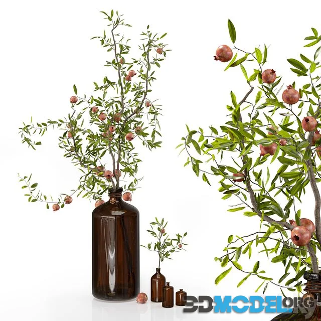 Pomegranate branches in pharmacy bottles