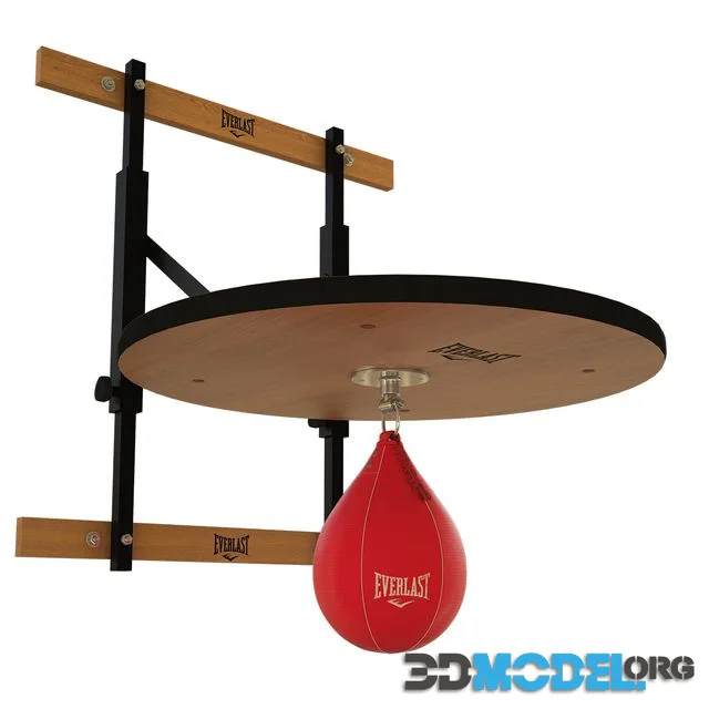 Punching bag and fasteners Everlast