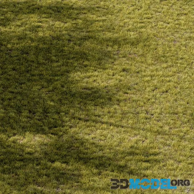 Short Grass Set 29