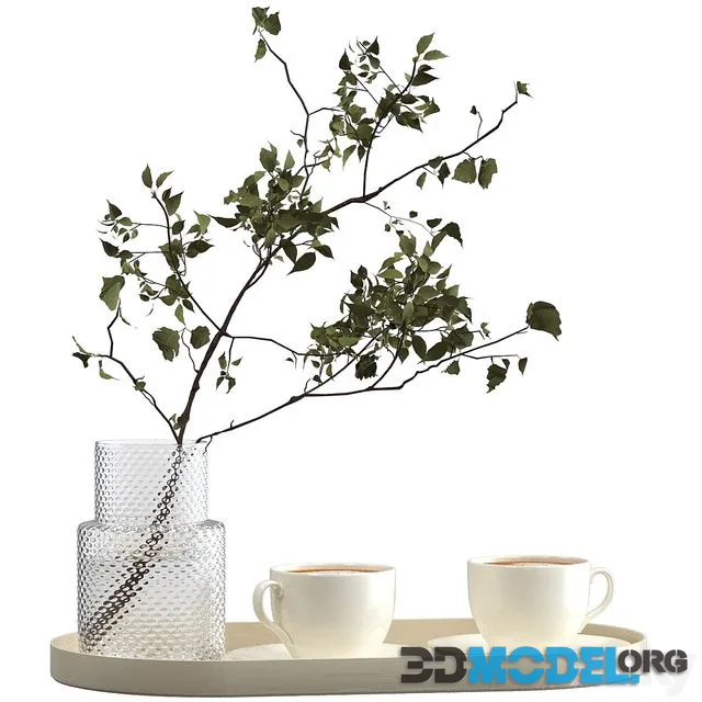 Two cups of cappuccino on a tray