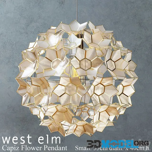 West elm - Capiz Flower Pendant