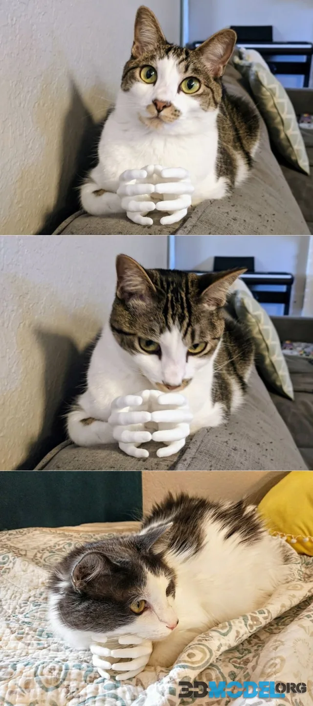 Cat Hands – Printable