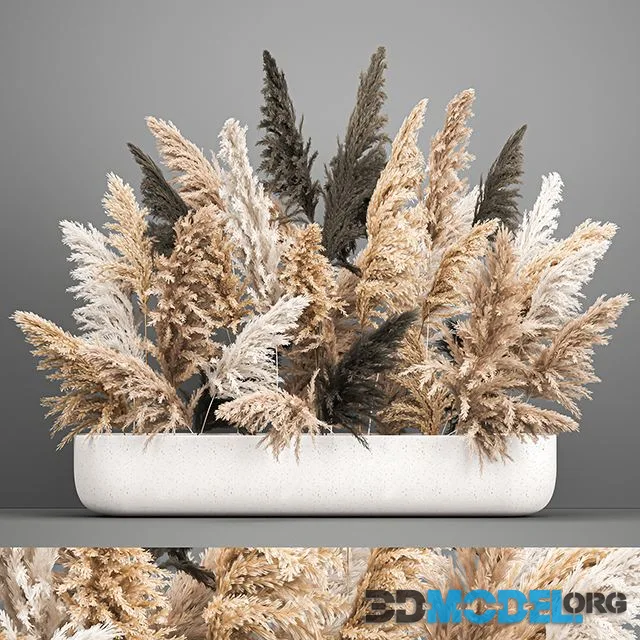 A large lush bouquet of dried flowers in a vase with pampas branches, Cortaderia. 186