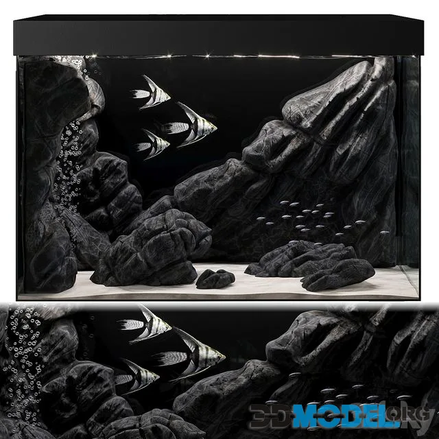 Aquarium black