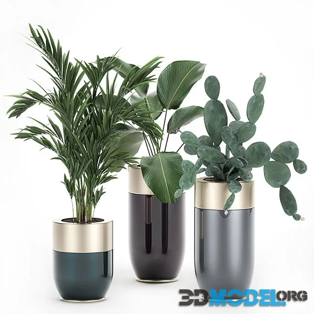 Collection of plants in beautiful Godwin Longhi pots Set 704