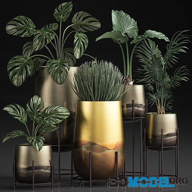 Collection of plants in luxury gold pots on legs Set 544