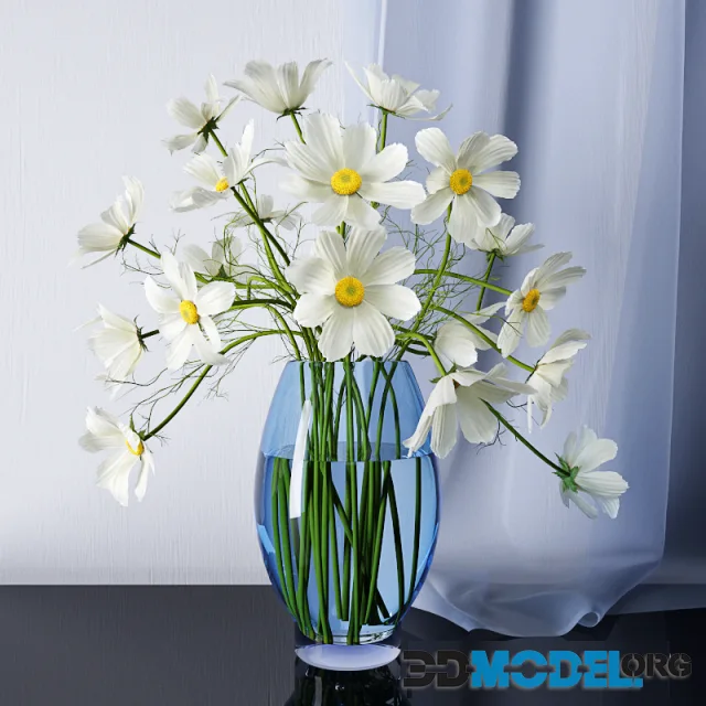 Daisies in a vase