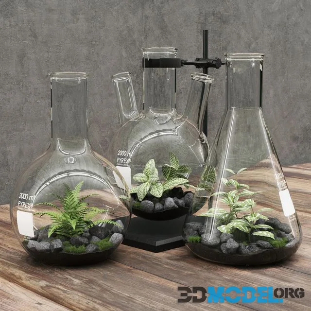 Florarium kolba