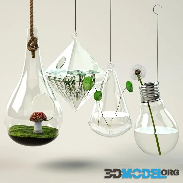 Glass, hanging pots for plants