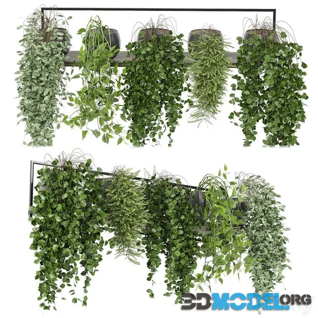 Indoor plants in rusty concrete pot on metal shelf – Set 0088