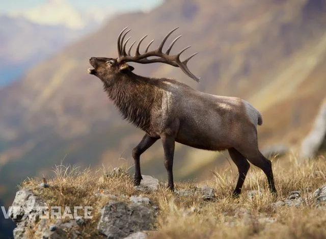 Male Elk Animated (PBR)