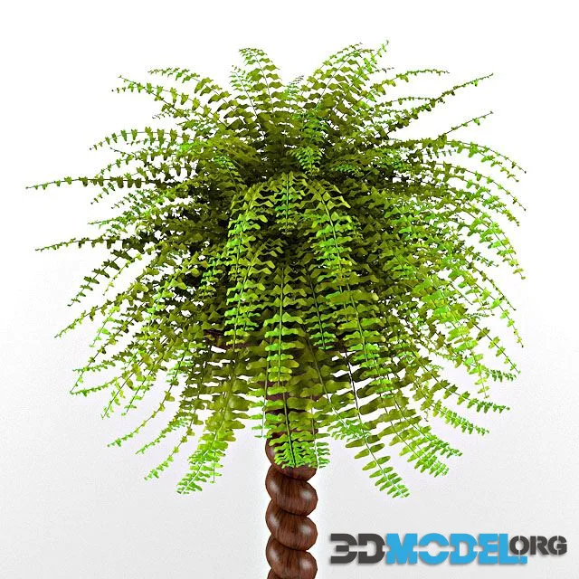 Natural plant