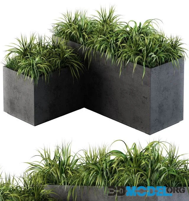 Outdoor Concrete Plant Box with Cereals and Green Grass
