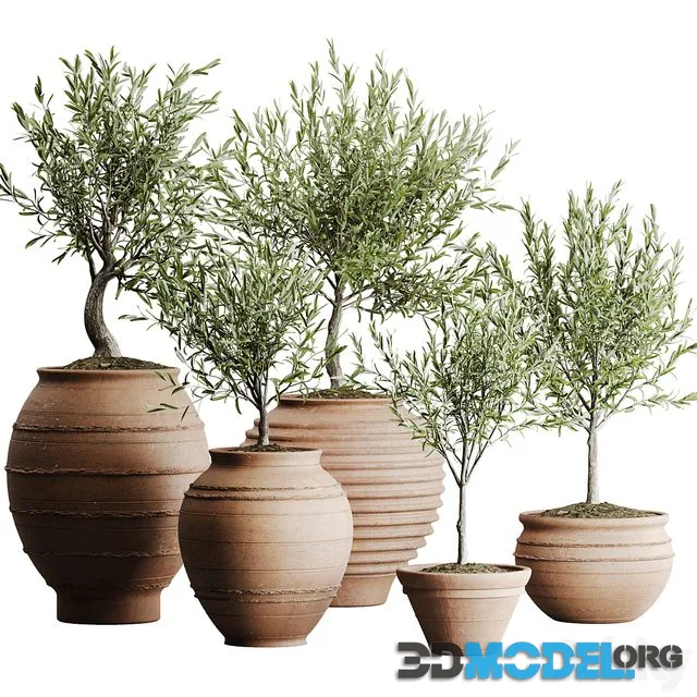 outdoor plant set 06