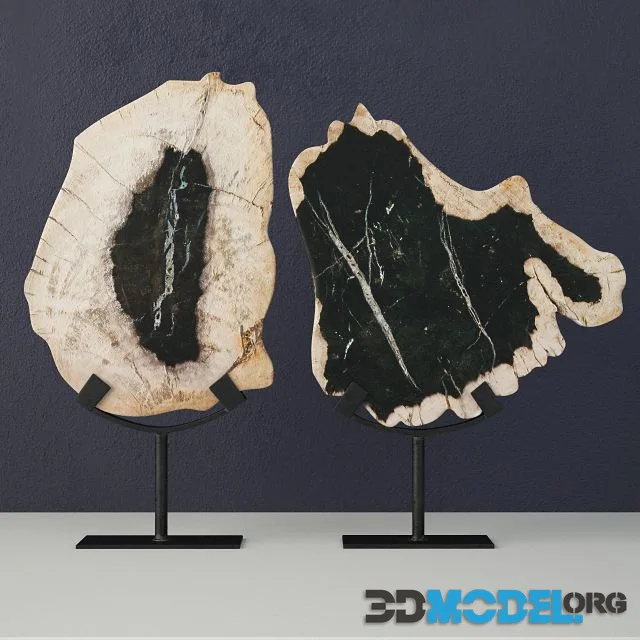 Petrified Wood Slices On Stand