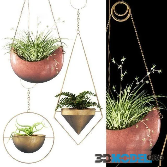 Plants 143