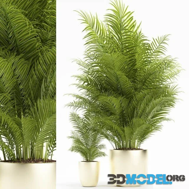 Plants 156