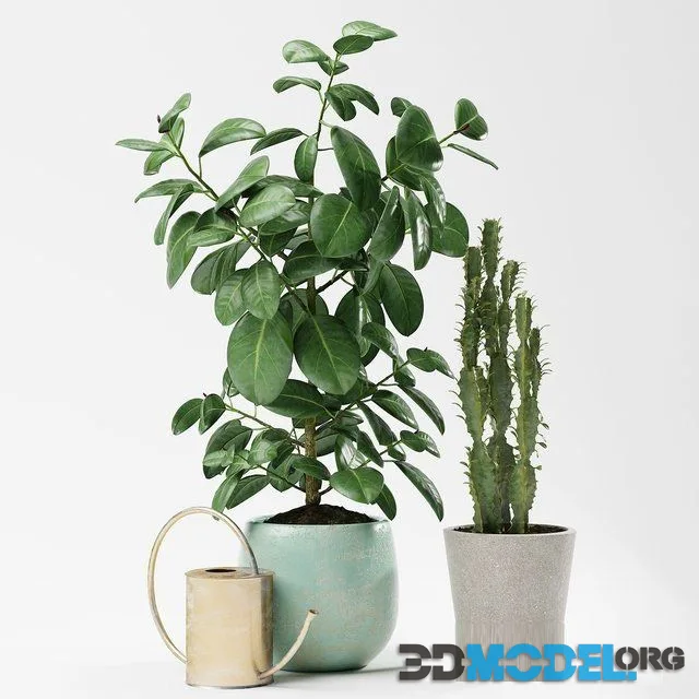Plants 186
