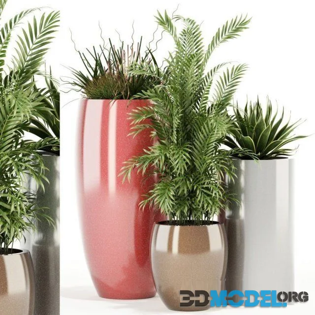 Plants collection 100