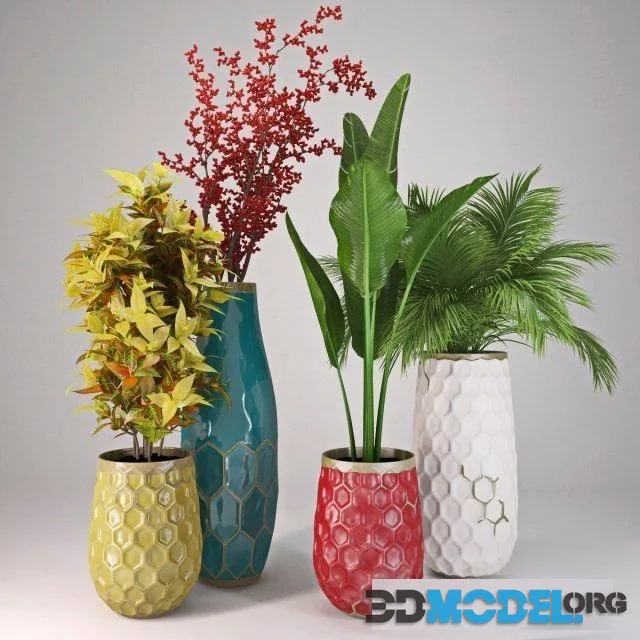 Plants collection II
