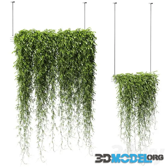 Plants in Hanging Planters v2. 2 models