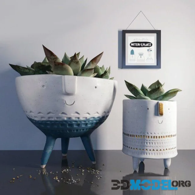 Pottern and plants 1