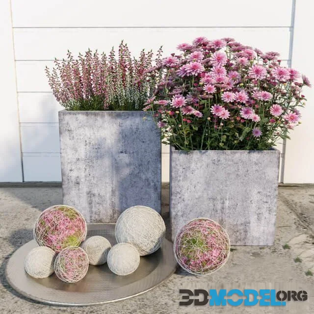 Street flowers 3