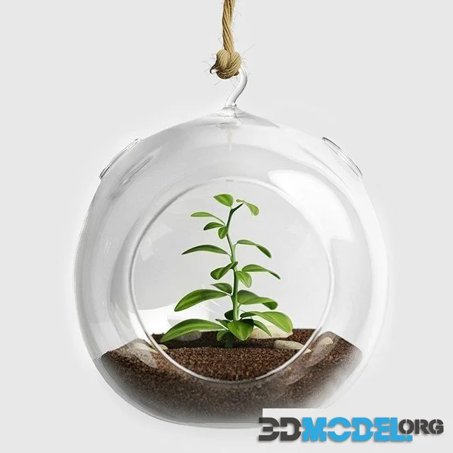 Terrarium for herbs