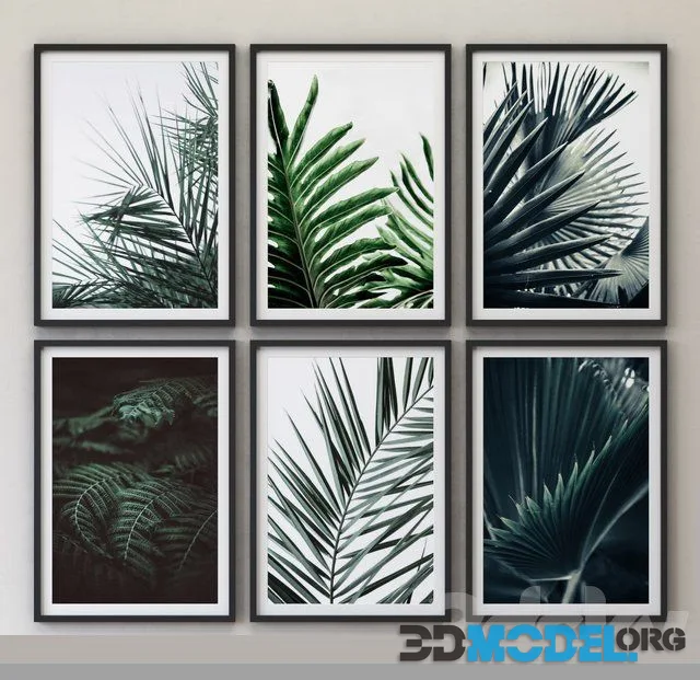 Tropical Set 01 Framed