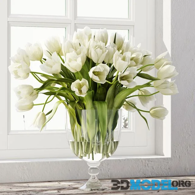 Tulips 3