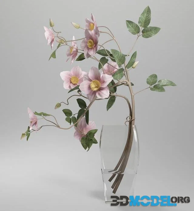 Vase Clematis Do
