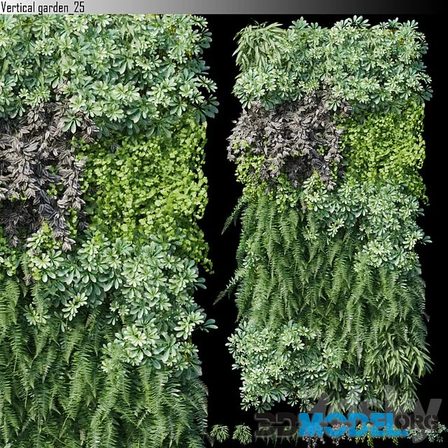 Vertical garden_25