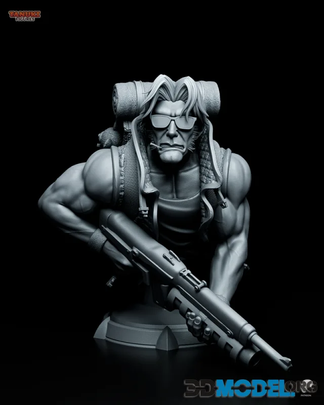 Tanuki Figures - Tarma Bust – Printable