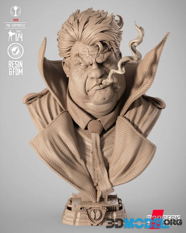 B3DSERK - Sam Portrait Bust – Printable