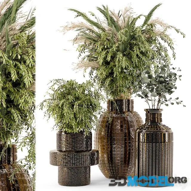 Collection Indoor Plants in Glass Pots - Set 701